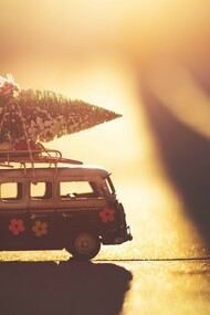 Tengo un árbol desnudo por vestir y no encontraba motivación para hacerlo