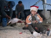 Mark Neville, Child, Jacket, Slaughtered Goat, Sweets, Painted Nails, Xmas Day, Helmand © Mark Neville