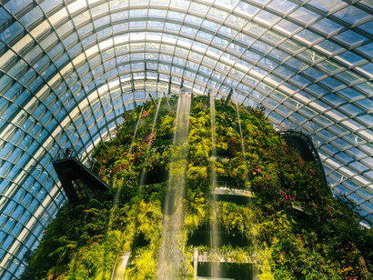 Lush greenery inside a Singapore glasshouse, a model of sustainable architecture and eco-conscious design
