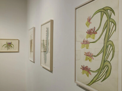 Anna Zemánková, Collaging the visition, exhibition view. Courtesy of Cavin Morris Gallery