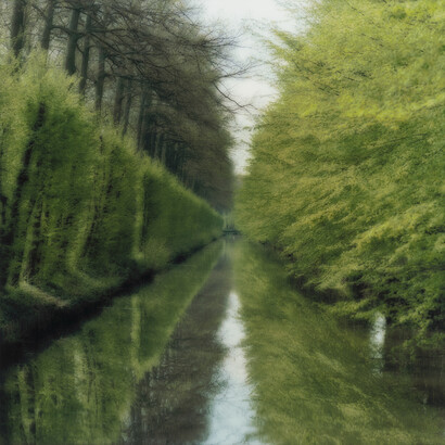 Lynn Geesaman, Beloeil, Belgium, 2004. Courtesy of Yancey Richardson Gallery