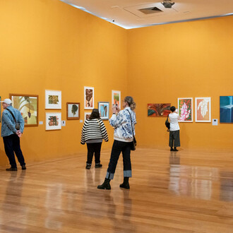 Flávio Império: tienes la voluntad y es libre, vista de exhibición. Cortesía de la Pinacoteca 