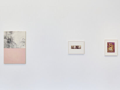 Kunié Sugiura, Boundaries and coexistence, exhibition view. Courtesy of Taka Ishii Gallery 