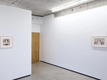 Priscilla Rose Howe, Rabid, exhibition view. Courtesy of Jhana Millers Gallery