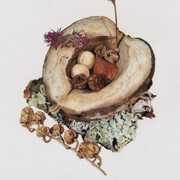 Sareh Imani, When the wind dies down, and the rain grows gentle 05, 2022. Courtesy of 56 Henry