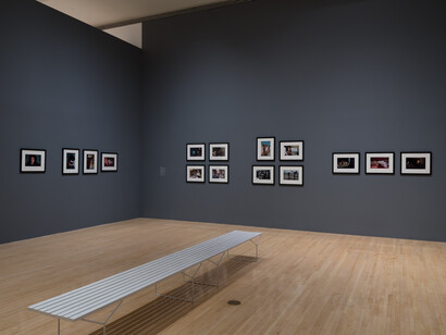 Installation view of Diary of flowers: Artists and their worlds, March 9, 2025–January 4, 2026 at
MOCA Grand Avenue. Courtesy of The Museum of Contemporary Art (MOCA). Photo by Jeff
McLane
