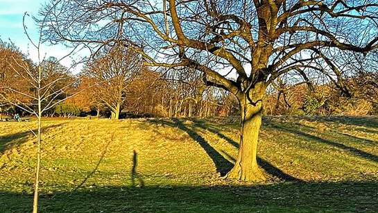 La soledad del corredor de fondo se yergue en la sombra del tiempo como un estímulo para quienes no ansían otra cosa que liberarse de la sumisión al orden establecido, emanciparse de un presente que ignora tanto nuestras necesidades como deseos verdaderos. Una carrera contra el reloj del éxito, el triunfo, el dinero. Parque Sheffield, Inglaterra