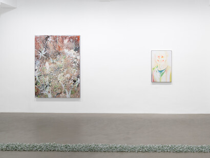 Pharmakon, vue de l'exposition. Avec l'aimable autorisation de la Galerie Chantal Crousel. Photo de Jiayun Deng—Galerie Chantal Crousel