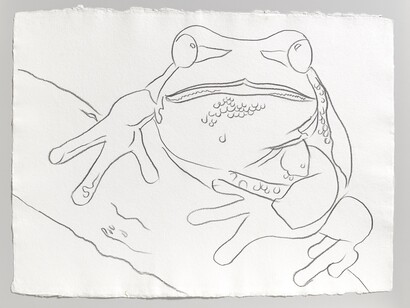 Andy Warhol, Endangered Species: Pine Barrens Tree Frog , 1983, Graphite on HMP paper, 60.6 x 80.9 cm, (23.87 x 31.87 in), © Andy Warhol Courtesty: Galerie Thaddaeus Ropac Paris · Salzburg, Foto: Andy Warhol Foundation