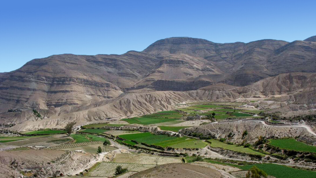Los hallazgos paleontológicos en la zona de Yura, cerca de Arequipa, Perú, revelan que las actuales montañas andinas fueron en otro tiempo parte de un antiguo entorno marino lleno de vida