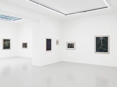 Maximilian Prüfer, Nebenlinien - 15 Jahre Naturantypie, exhibition view. Courtesy of Galerie Kandlhofer