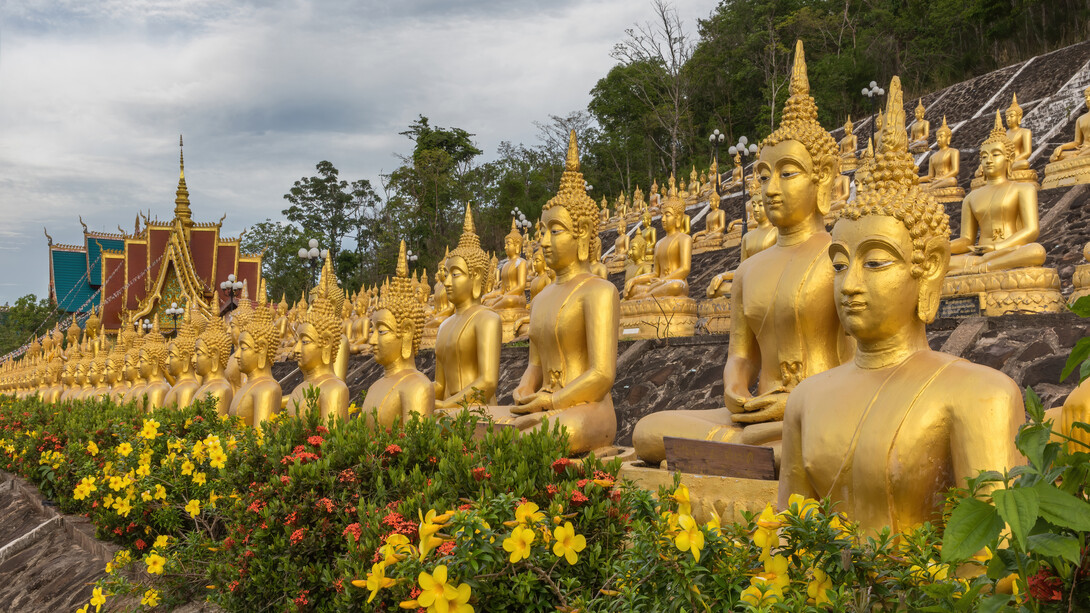 Filas de estatuas de oro de Buda sentado, con flores amarillas y rojas, Wat Phou Salao, Templo del Buda Dorado, Pakse, Laos