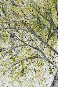 Antico Tiglio di Octavia Monaco