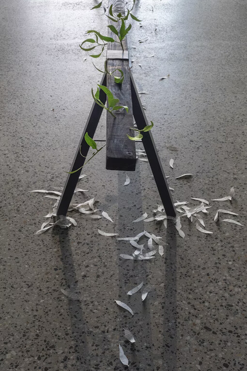 Jenna Lee, Burn before reading, exhibition view. Courtesy of the artist and Gertrude Glasshouse. Photo by Christian Capurro