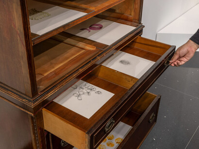 Temitayo Ogunbiyi, You will have revelations along felled branches and longer rootsroutes, exhibition view. Courtesy of the Arts Club of Chicago