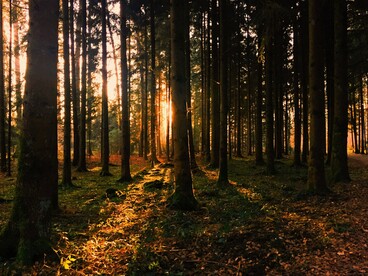 Mais de 200 anos após o suposto enterro do tesouro, os Beale Ciphers continuam sem solução definitiva. Dois códigos permanecem indecifráveis, e nenhum tesouro foi encontrado