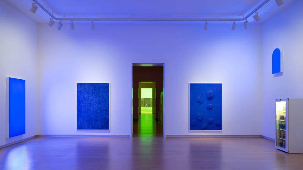 Pamela Rosenkranz, Liquid body, exhibition view. Courtesy of Stedelijk Museum