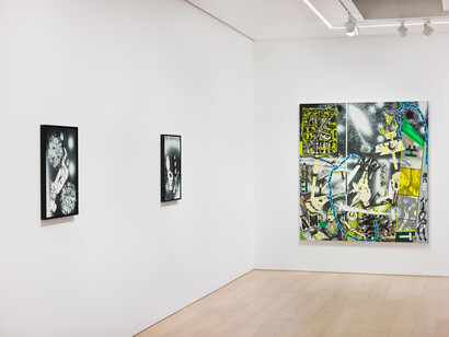 Lari Pittman, Caprichos and nocturnes, exhibition view. Courtesy of Lehmann Maupin