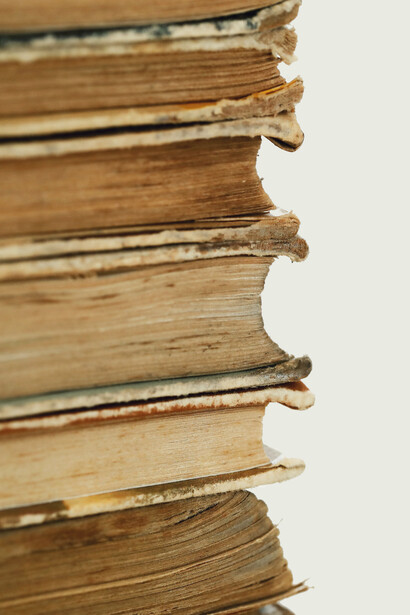 En la lectura, el texto vuelve a nacer; cada lector es una respiración distinta que reaviva lo que parecía dormido en la palabra