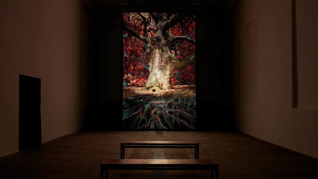 Marshmallow Laser Feast, Of the oak, exhibition view. Courtesy of Yorkshire Sculpture Park