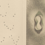 Max Ernst: Beyond Painting. Courtesy of MoMA