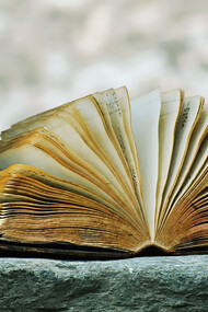 Many followers of the Nath sect consider the Nilavanti Granth as a sacred scripture compose in Shabar mantra, regard it as a guide for spiritual seekers