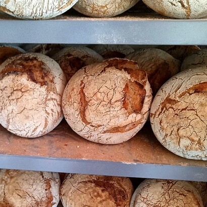 La lavorazione artigianale del pane — impasti lenti, lievitazioni naturali, farine macinate a pietra — contribuisce a preservare i nutrienti e a limitare l’energia usata industrialmente, abbassando l’impatto ambientale complessivo