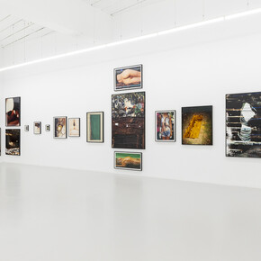 Harley Weir, The garden, exhibition view. Courtesy of Hannah Barry Gallery