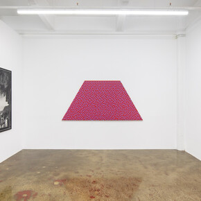 Daniel Temkin, exhibition view. Courtesy of Higher Pictures