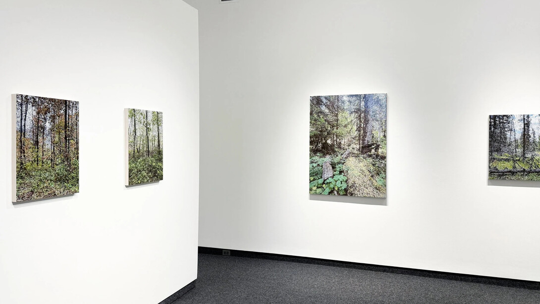 Kirstin Lamb, The woods, exhibition view. Courtesy of Gallery Naga