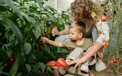 Mãe e filho em horta. O parto vaginal e a amamentação materna são determinantes para a formação desta comunidade de seres invisíveis no corpo infantil. Ela influencia a longevidade, imunidade, qualidade do sono e até o seu rendimento desportivo. Esses microrganismos comunicam-se com o cérebro para regular as funções corporais e influenciam o nosso estado de espírito, empatia e a convivência. A ciência contemporânea confirma a tese das antigas tradições: O intestino é o segundo cérebro