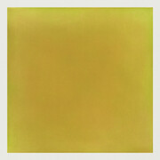 Anne Appleby, Cottonwood (detail), 2012. Courtesy of Crown Point Press