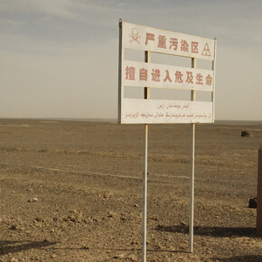 Li Yongzheng, Defend our nation, 2015. Per gentile concessione del Mart