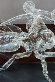 Unknown Species, 2017