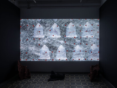 Pushpakanthan Pakkiyarajah, No race, no colour, exhibition view. Courtesy of Experimenter Gallery