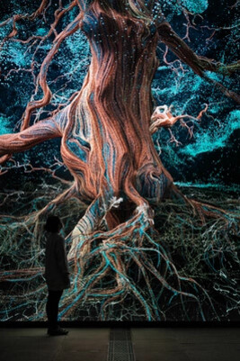 Marshmallow Laser Feast, Of the oak, exhibition view. Courtesy of Yorkshire Sculpture Park