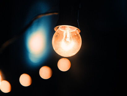 L’imprévisibilité du hasard rencontre la constance de la nécessité. Comme une ampoule allumée dans la nuit, l'évolution du vivant peut être éclairée par des lois, bien que ses chemins demeurent imprévisibles et contingents