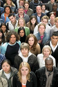 La dénomination binominale de l’espèce