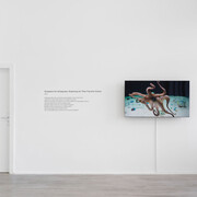 Shimabuku, Self-portrait, ausstellungsansicht. Mit freundlicher genehmigung der Galerie Barbara Wien