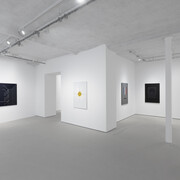 Manuel Alvess, High surveillance, exhibition view. Courtesy of Galerie Jocelyn Wolff 
