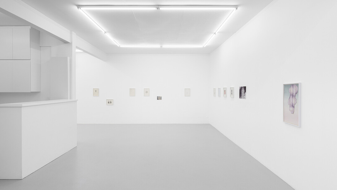 Guðný Rósa Ingimarsdóttir, Fingers in a red state but not yet bleeding, exhibition view. Courtesy of Irène Laub 