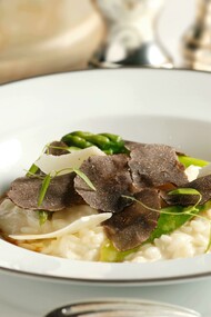 Truffle shaving displayed on a creamy risotto highlighting the potential of Morocco’s fungi
