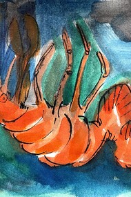 Una specie di aragosta?