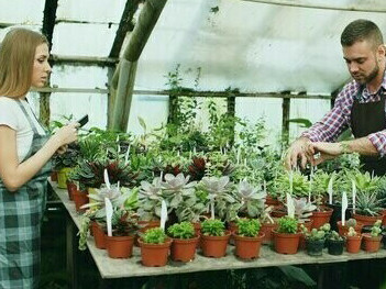 La creación de la Unidad Mixta de Investigación e Innovación entre Embrapa e INAI establece una estructura permanente para coordinar estudios conjuntos y fortalecer la ciencia orientada a la producción