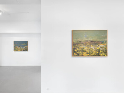 Petra Cortright, Soft stone under heaven exceeded trial period, exhibition view. Courtesy of Brigade Gallery