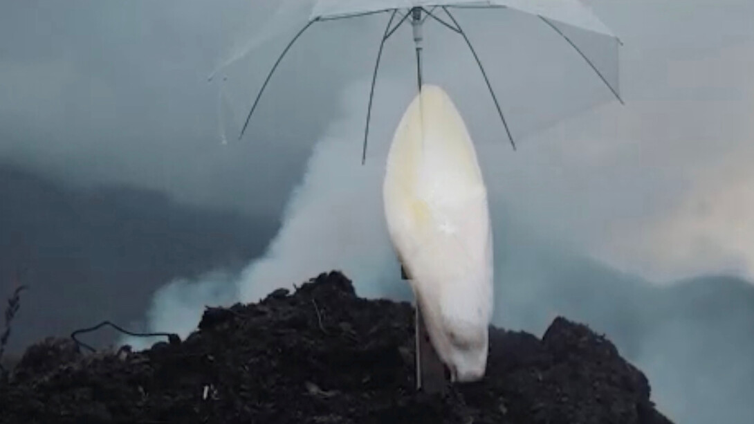 Grégoire Motte, Witloof au pays de gex (détail). Avec l'aimable autorisation de Centrale | Vitrine © G. Motte