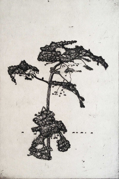 Guy Allen, Scots Pine,Wiveton