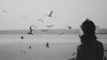 Pesquisas mostram que o silêncio ativa áreas cerebrais responsáveis por imaginação e planejamento. Ele permite que conexões antes desconexas se tornem soluções criativas. É por isso que os melhores *insights* aparecem no banho, na estrada ou naquele momento solene em que você está parado olhando para o nada. O silêncio, nesse caso, funciona como o “modo desenvolvedor” da mente humana: invisível, eficiente e absolutamente necessário