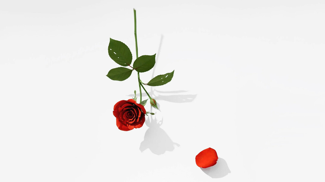 Suda Yoshihiro, exhibition view. Courtesy of Mignoni Gallery