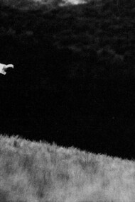 Foto de Evgen Bavcar